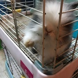 啃个大西瓜瓜瓜