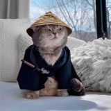边村富白