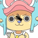 翎翎翎