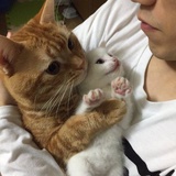 糕糕糕糕糕糕