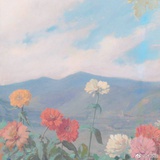 花继续开