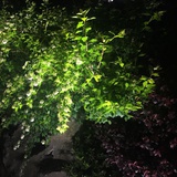 里力离