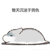 呆呆的毛毛