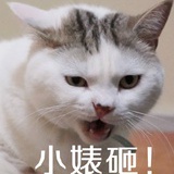 哈哈哈