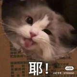 扯