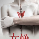 逗逗酥