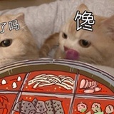 人为什么要上班
