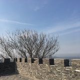 落樘