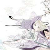 没有色彩的作