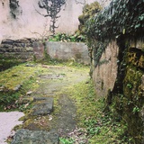 立春前后寻江南