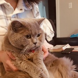 常惜