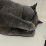 好吃你就少吃点