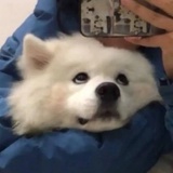 劉沙包