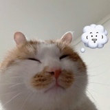 异能星散打奶糖