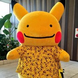 可以可疑