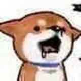 九个狗