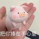 有有