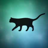 懒惰的猫