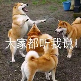 豆豉鲮鱼