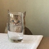 灵了个灵灵灵
