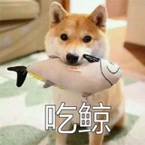 胖仙女