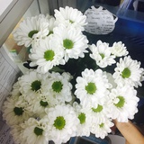 点点花的树