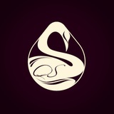 Q&S红酒会