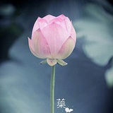 恍若如梦