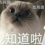 艺远