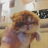 忘记吃饭了