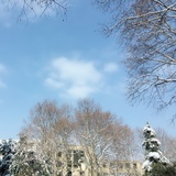 一眼春心