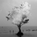 阿改君