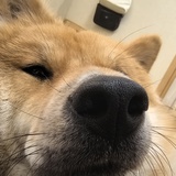 李神秀