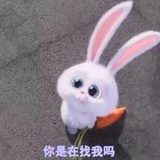 草莓