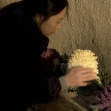 鹦鹉螺