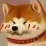 小儿肥ω