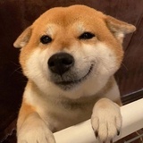 柳梧第一大宝贝