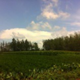 shililanka