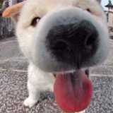 真爱和自由