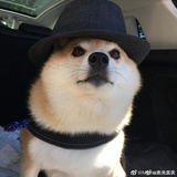 An
