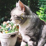 带着沃特前行