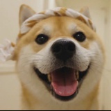 其貌不楊女士
