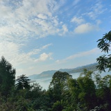 飞絮绕春