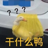 猫饼