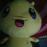 qinguichao