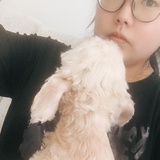 鸳毒