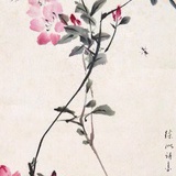 砚之