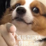 苏三。
