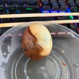 叶过无痕