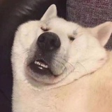 茄子煎蛋不加盐